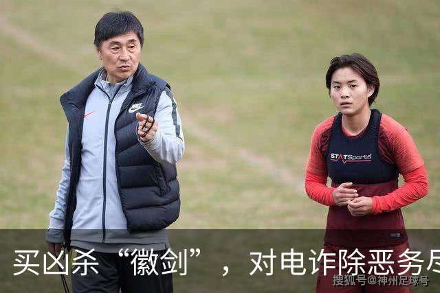 买凶杀“徽剑”，对电诈除恶务尽 | 新京报快评