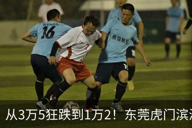 从3万5狂跌到1万2！东莞虎门滨海湾神话破灭，深圳炒客撑不住了