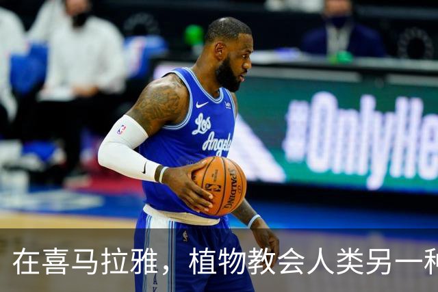 在喜马拉雅，植物教会人类另一种活法