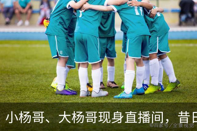 小杨哥、大杨哥现身直播间，昔日风光不再，在线人数仅寥寥数百人