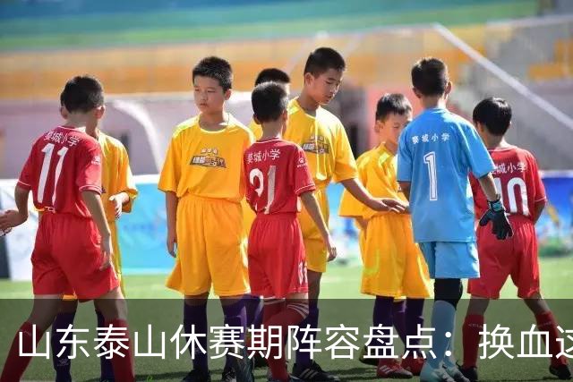 山东泰山休赛期阵容盘点：换血这道大题