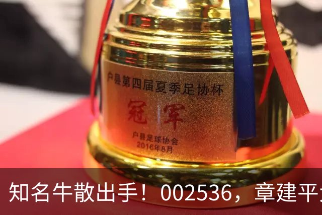 知名牛散出手！002536，章建平大举买入
