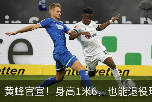 黄蜂官宣！身高1米6，也能退役球衣！